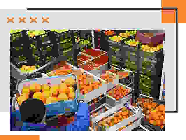 Перевозка скоропортящихся продуктов в Заволжье